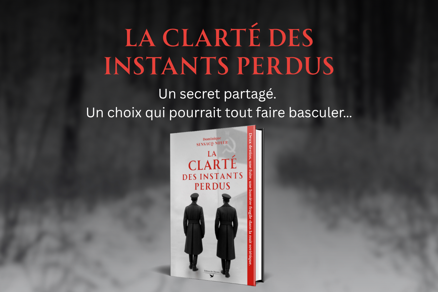 Bannière promo - La clarté des instants perdus - Dominique Sensacq-Noyer - Édition des libertés